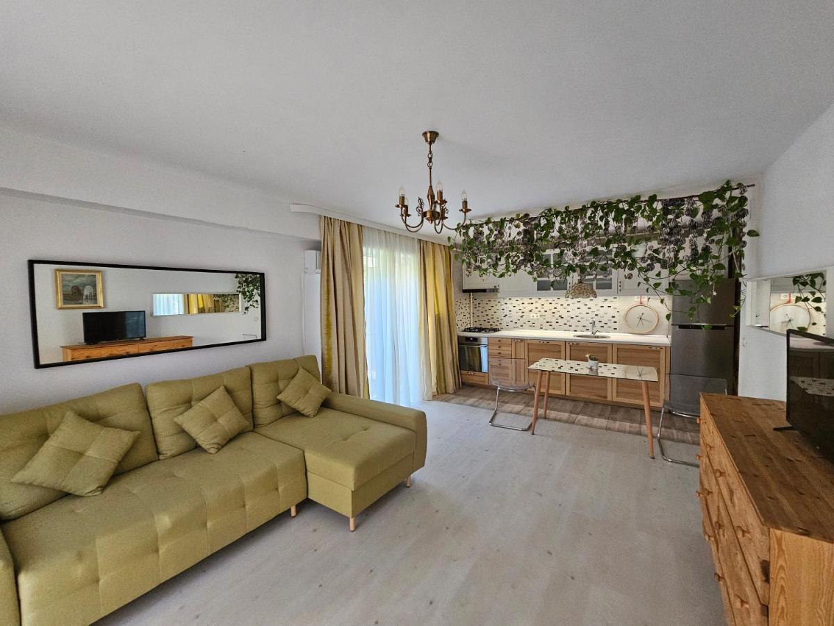 Manolaire Airport Residence Otopeni Exteriér fotografie